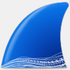 Wiresharkץ������������v4.2.5 ���°�