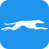 �ҹ���ʿapp���°�׿��