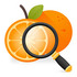 ���ʹܼ�app1.0.0