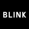 Blinkͷ��