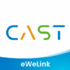 ��΢��CAST
