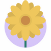 Blossom�ƶ�˫���ʼ�ͼ��