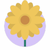 Blossom�ʼ�����Mac��ͼ��