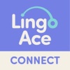 LingoAce���°�׿��