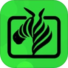 ������Ƶ����app