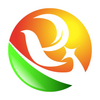 �Ϻ�ҽҩ��app���°�