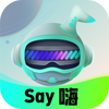 Say��Ԫ�������°�ͼ��
