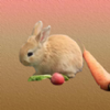 ƴ�����ܲ�