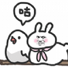 ������app