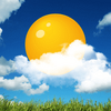 ��������app�ٷ���