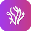 ɺ����Ƶ������app�ٷ���