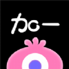 ��һ����test���°�