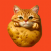 Shedevrum�滭app���°�