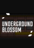 Underground Blossom Demo