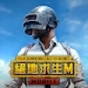 ̨ٷ2025°(pubg mobile tw)