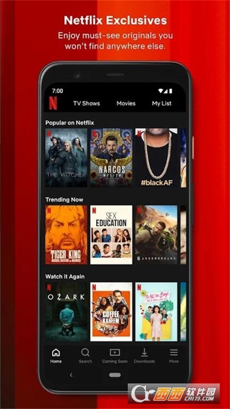 网飞netflix官方app运行截图