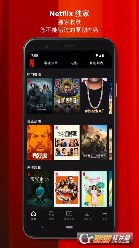 网飞中文安卓版运行截图