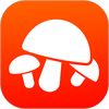 Ģ��ʶ��ɨһɨapp���°�(������)