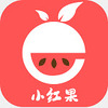 С�������appͼ��