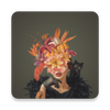 FotoCraft���app���°�ͼ��
