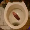 ��Ͱģ�����������°�(Shit Simulator)ͼ��