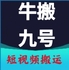 ţ��źŰ�������v15.0 ��׿��