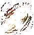 ��˫������������v0.0.23.39572��׿��