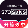 373Skins������