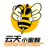 ����С�۷�app