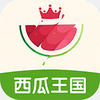 ��������app��׿��ͼ��