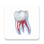 Dental Illustrationsĸ߼appv2.0.86׿