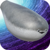 �ɰ����������
