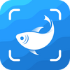 Picture Fish���ĸ߼���app