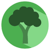 Broccoliʳ��ͼ��
