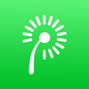 �״�app