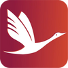 ��������app���°�