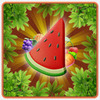 ˮ��ƥ���ʦ��Ϸ��׿��(Fruits Match Me Master)