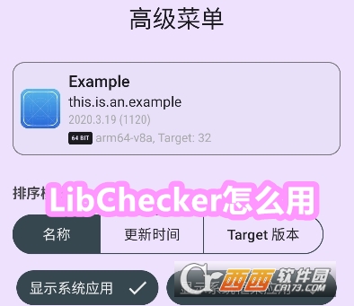 LibCheckerӦüܹ鿴