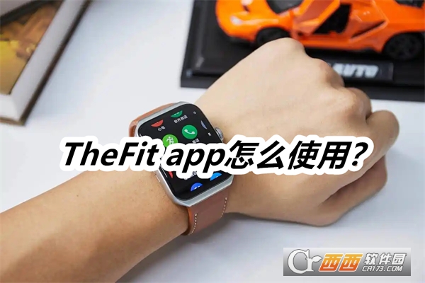 TheFit app2025°汾ֻ