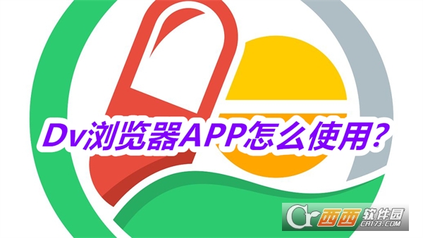 DvAPP׿°汾