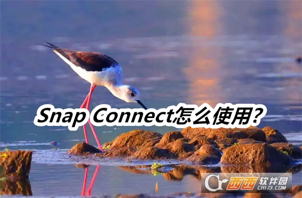 Snap Connect°汾Ѱ2025