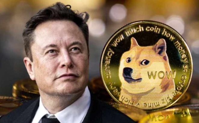 жö DOGECOINҷǶ