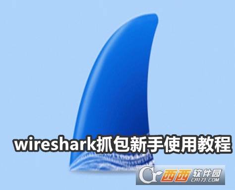 WireSharkץ°