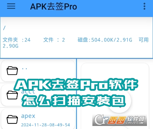 APKȥǩPro2025׿