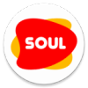 APP׿ֻ棨soul browser