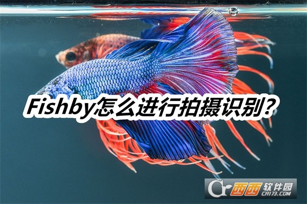 Fishby2025°汾Ѱ