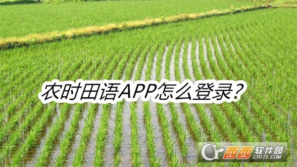 ũʱAPP׿°汾