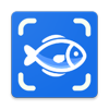 Fishby��������2026���°汾��Ѱ�ͼ��