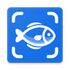 Fishby��������2026���°汾��Ѱ�v1.0.1��׿��