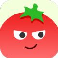 番茄相册大师app官方版